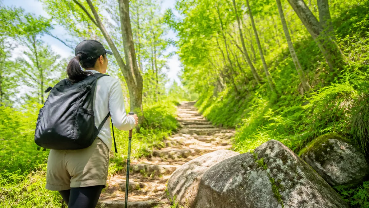 笠置山の山頂を目指す｜姫栗ルートの所要時間と見どころの解説画像