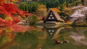 松尾池は2025年復活した岐阜の野鳥天国｜オシドリ・紅葉・合掌造りが映る水鏡ガイドのアイキャッチ画像