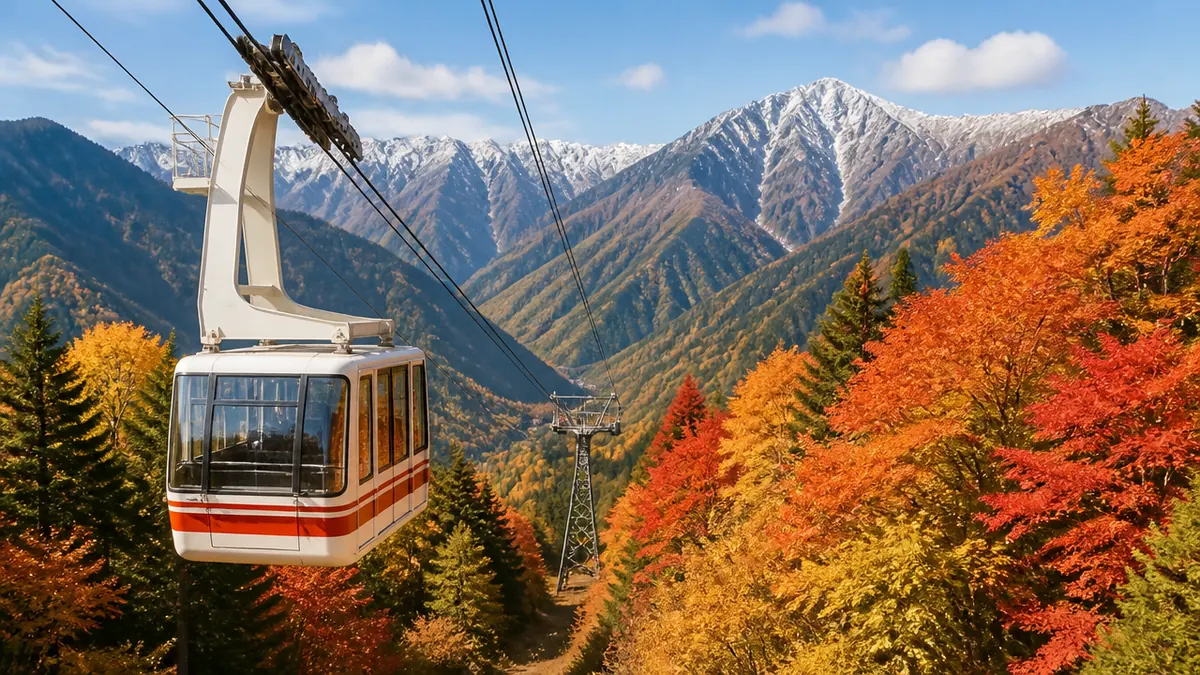 岐阜の紅葉名所は「標高差」で選ぶと失敗しない｜見頃カレンダー早わかりの解説画像
