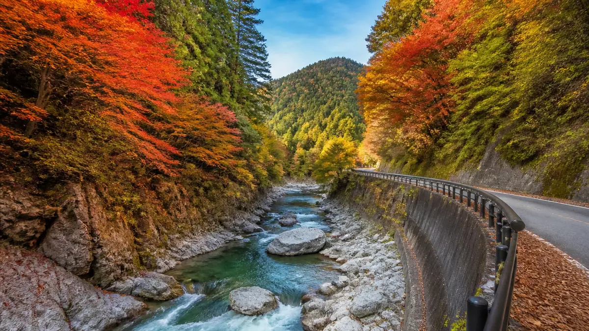 60kmの紅葉ドライブを満喫｜せせらぎ街道と付知峡の解説画像