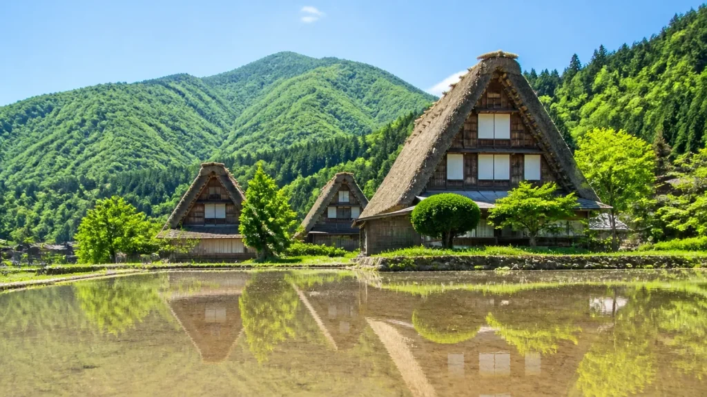 夏の白川郷は新緑と水鏡が主役｜涼やかに歩く半日モデルコースと混雑回避ガイドのアイキャッチ画像