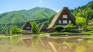 夏の白川郷は新緑と水鏡が主役｜涼やかに歩く半日モデルコースと混雑回避ガイドのアイキャッチ画像