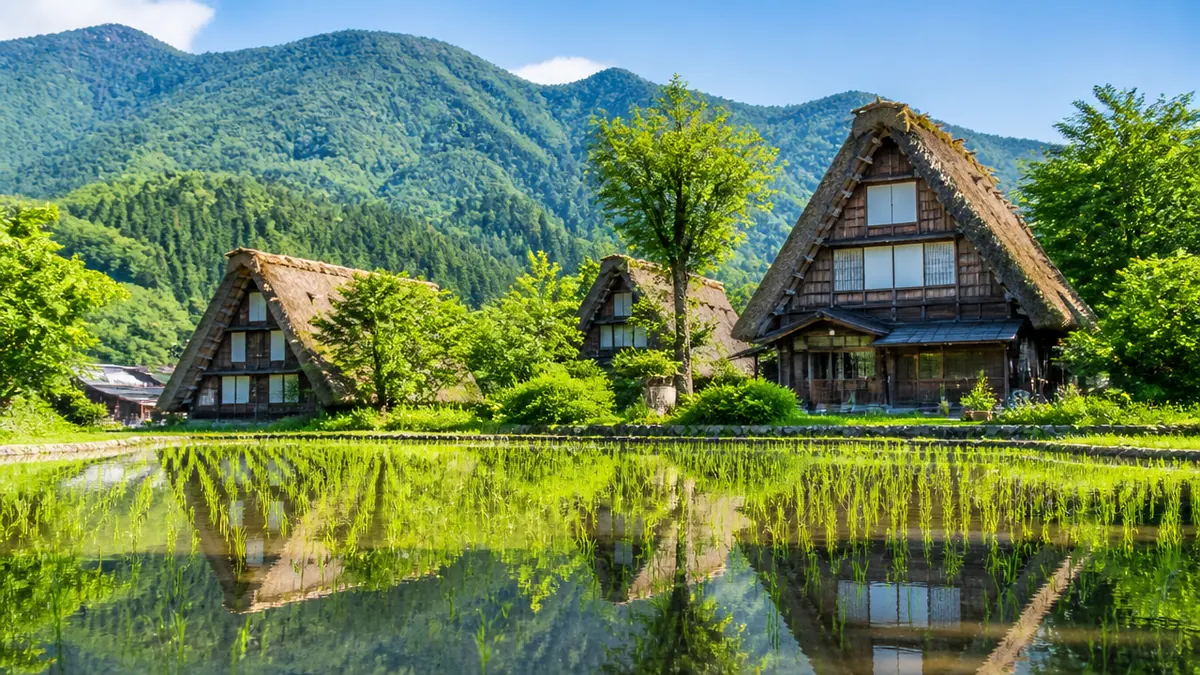 夏の白川郷はなぜ涼しく感じる？｜新緑と水田が織りなす季節限定の風景の解説画像