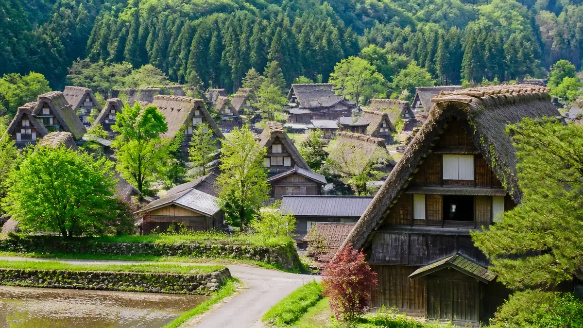 規模で選ぶなら？荻町・相倉・菅沼を数字で徹底比較の解説画像