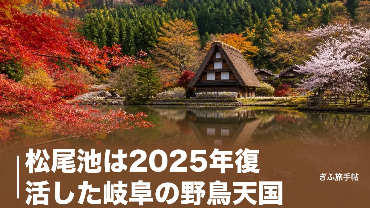 松尾池は2025年復活した岐阜の野鳥天国｜オシドリ・紅葉・合掌造りが映る水鏡ガイドのアイキャッチ画像