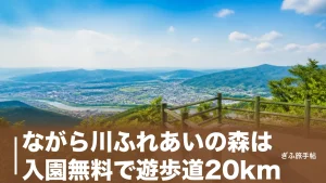 ながら川ふれあいの森は入園無料で遊歩道20km｜百々ヶ峰の展望台と駐車場を完全ガイドのアイキャッチ画像