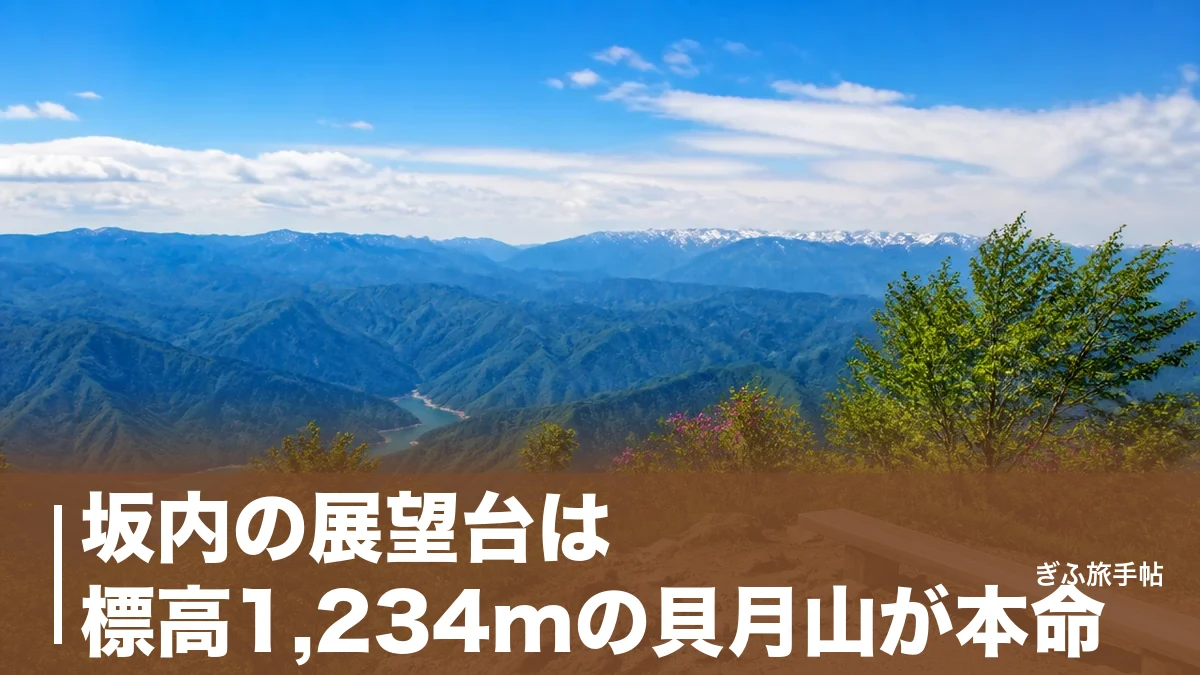 坂内の展望台は標高1,234mの貝月山が本命｜360度パノラマへの最短ルート完全ガイドのアイキャッチ画像