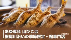 あゆ専科 山びこは根尾川沿いの季節限定・鮎専門店｜フルコースと木知原駅すぐの通い方ガイドのアイキャッチ画像