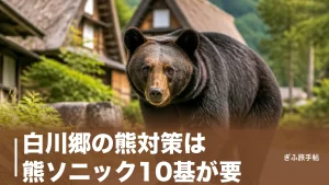 白川郷の熊対策は熊ソニック10基が要｜目撃137件時代の安全な歩き方を完全ガイドのアイキャッチ画像