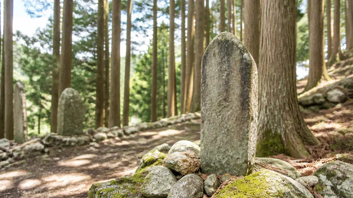 宇喜多秀家陣跡はどこにある？｜南天満山の杉木立に立つ西軍副大将の陣の解説画像