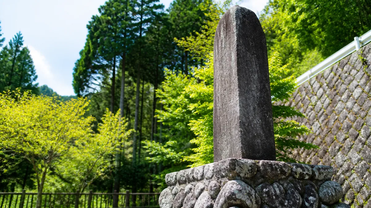 「捨てがまり」はなぜ語り継がれるのか|13騎で大軍に挑んだ殿戦の解説画像