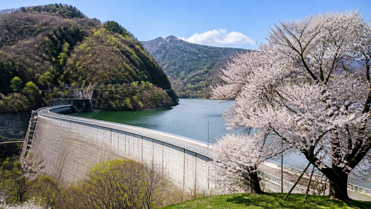 湖の底に沈んだ村がある｜御母衣ダムが「桜の物語」で語られる理由の解説画像