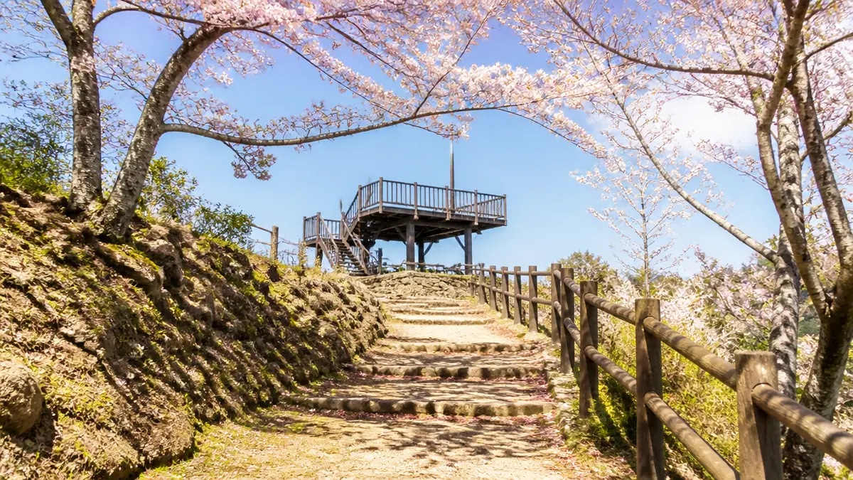 標高159mの山頂へ｜展望台までの登り方と所要時間の目安の解説画像