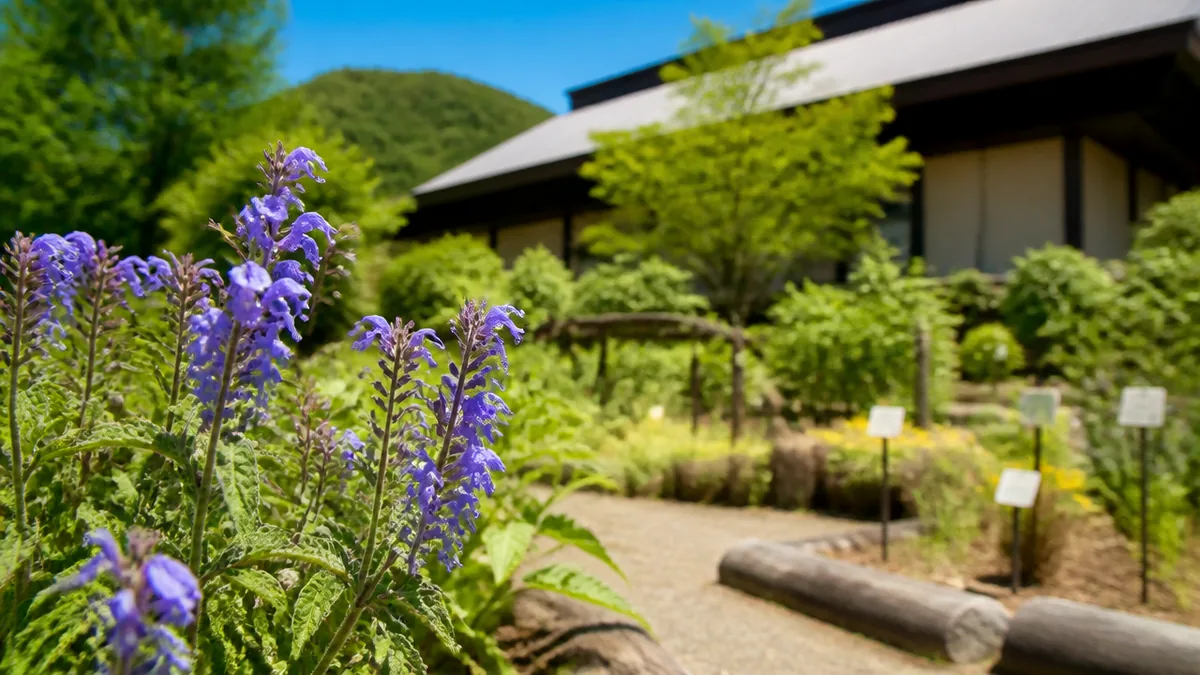 約700種が育つ庭は季節で顔を変える｜薬用植物園の歩き方の解説画像