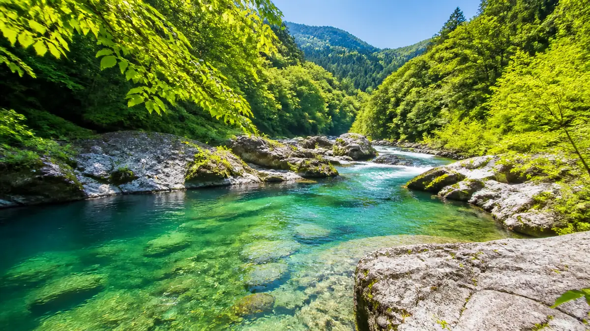 水の透明度で選ぶなら、中濃から郡上へ北上するの解説画像