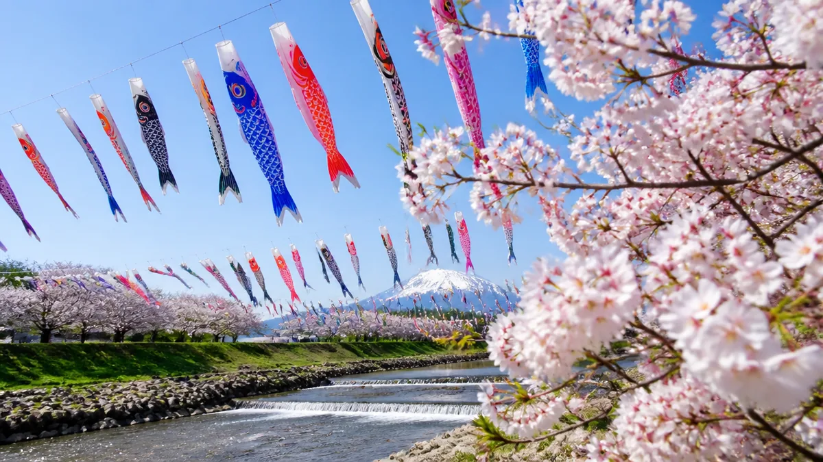 約350匹の鯉のぼりと約200本の桜、見頃はいつ重なる？の解説画像