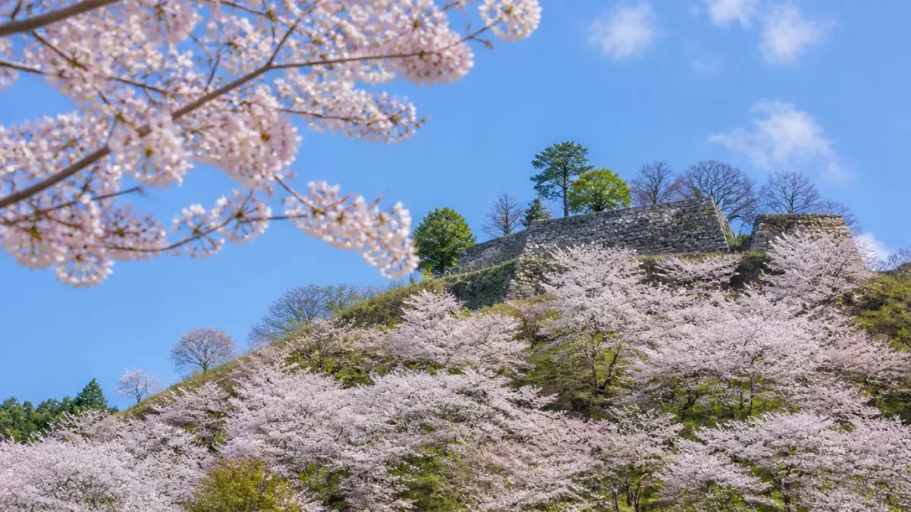 蘭丸ふる里の森は千本桜と国史跡の城跡がセット｜森蘭丸ゆかりの古城山を歩く完全ガイドのアイキャッチ画像